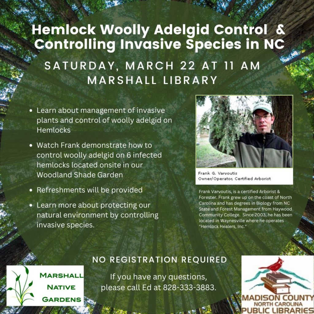 See our upcoming free presentation and onsite application of Hemlock adelgid control