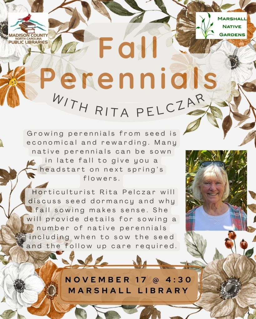 Rita is Presenting on Growing Fall Native&nbsp;Perennials