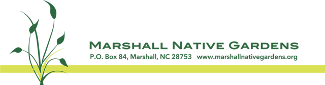 A Peek Behind the&nbsp;Petals