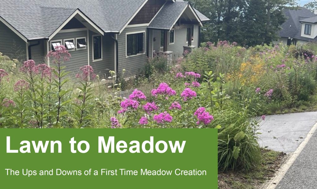 Lawn to Meadow&nbsp;Presentation