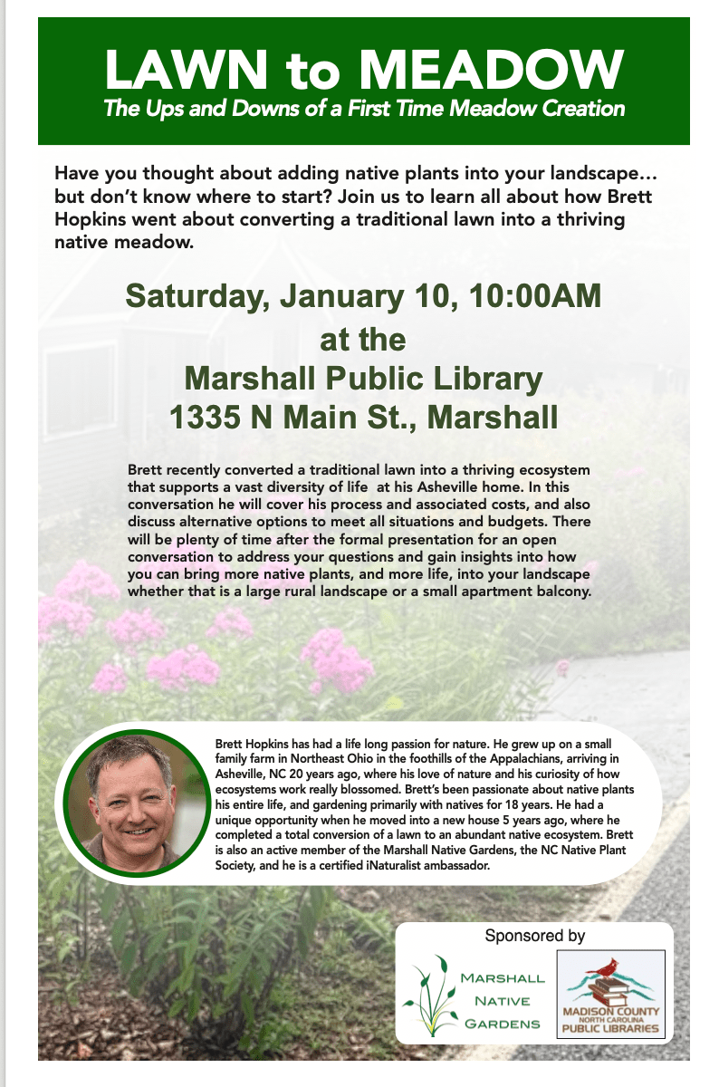 Lawn to Meadow&nbsp;Presentation