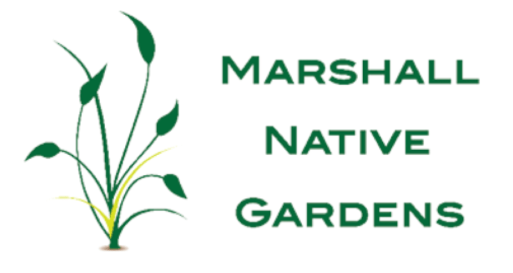 Dirt Cheap & Drop Dead&nbsp;Gorgeous