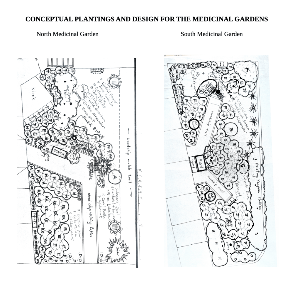 Renovation of Medicinal Garden Could Use Your&nbsp;Help